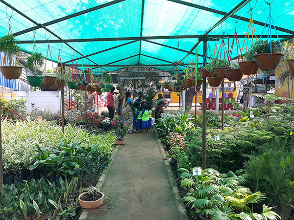 Nehru Kids Academy - Field Visit - Kovaipudur