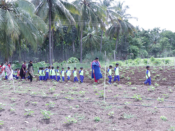 Nehru Kids Academy - Field Visit