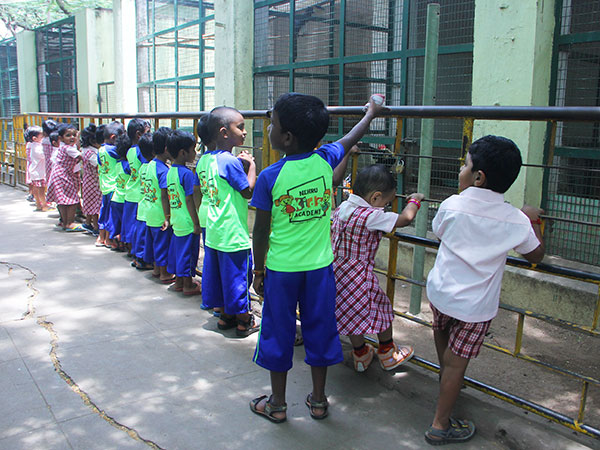 Nehru Kids Academy