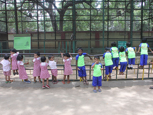 Nehru Kids Academy