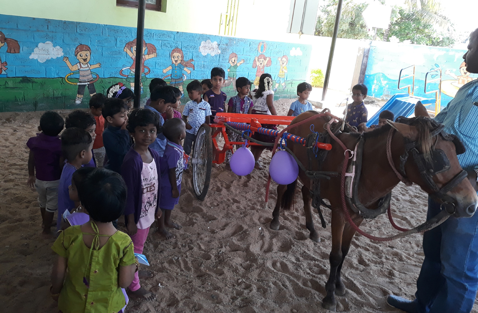 Fun Ride In A TONGA With Their Friends - Nehru Kids Academy